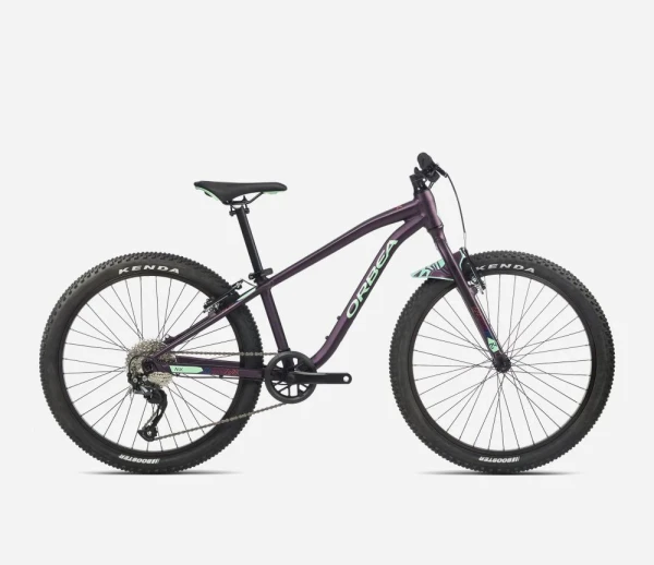 orbea_mx_24_dirt.jpg